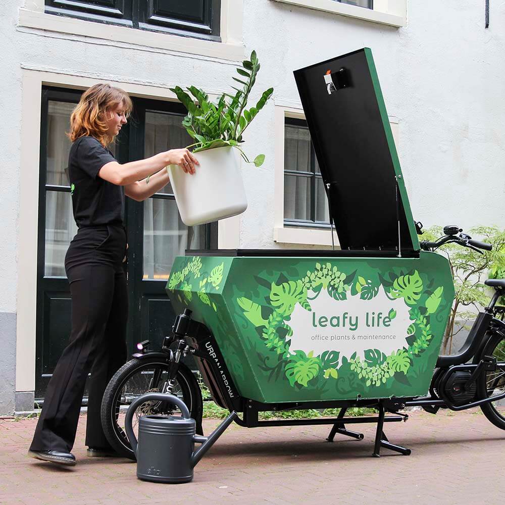 leafy life electric bakfiets