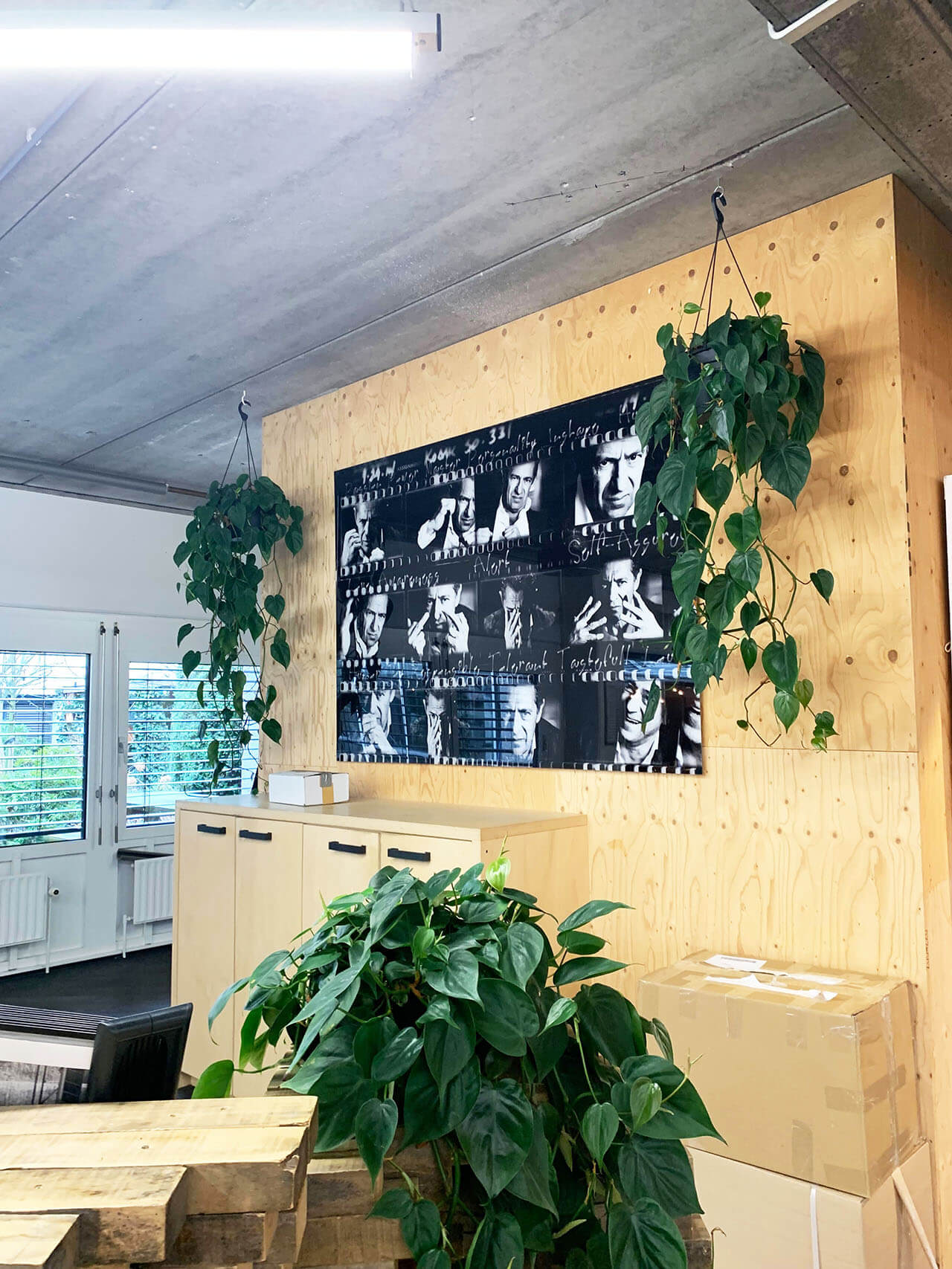 office plants maintenance amsterdam office plants maintenance amsterdam