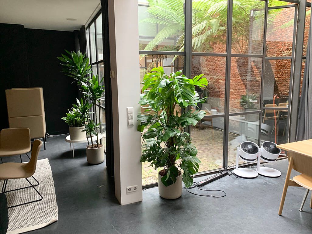 office plants amsterdam