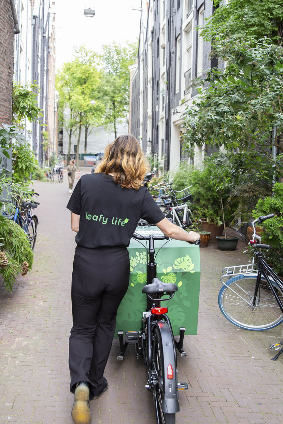 About Us - Leafy Life